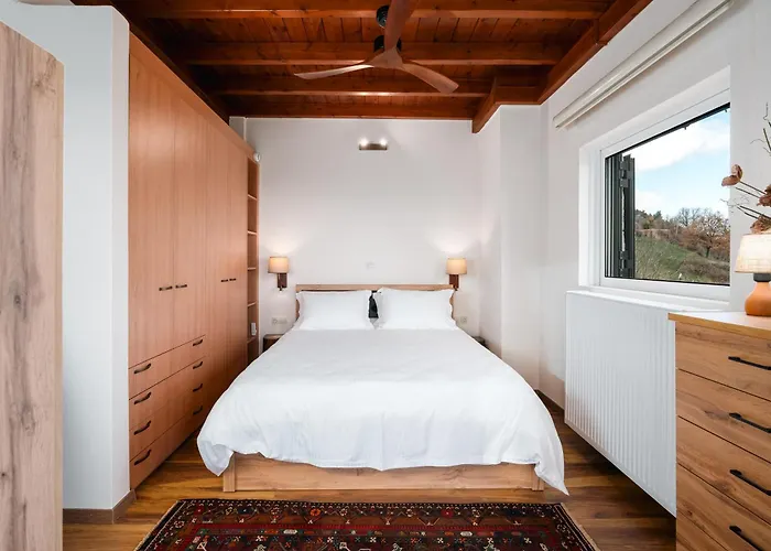 Vila Xrisaetos Cozy Mountain Retreat With Stunning View By Greece Kernitsa